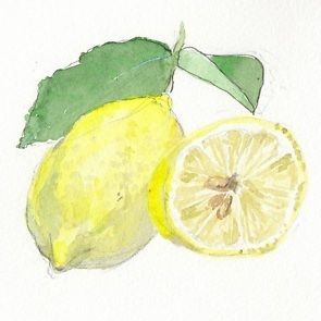 citron (citrus limonum)